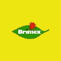 Brimex